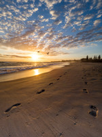 Kingy Footsteps