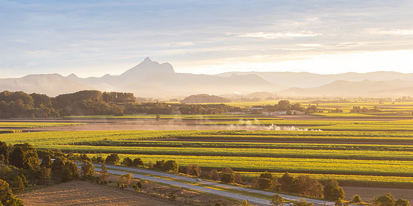 Land of Plenty