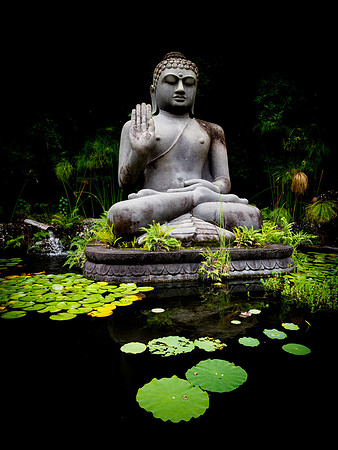 Buddha