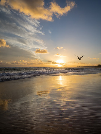 Peaceful